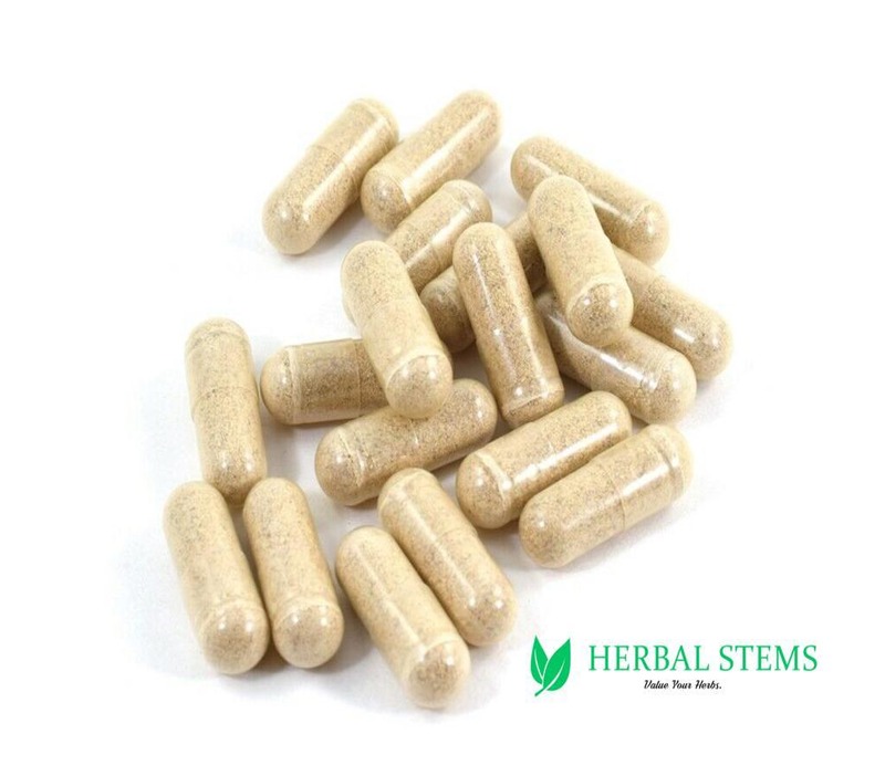 Berberis /Sumlu 60 Capsules